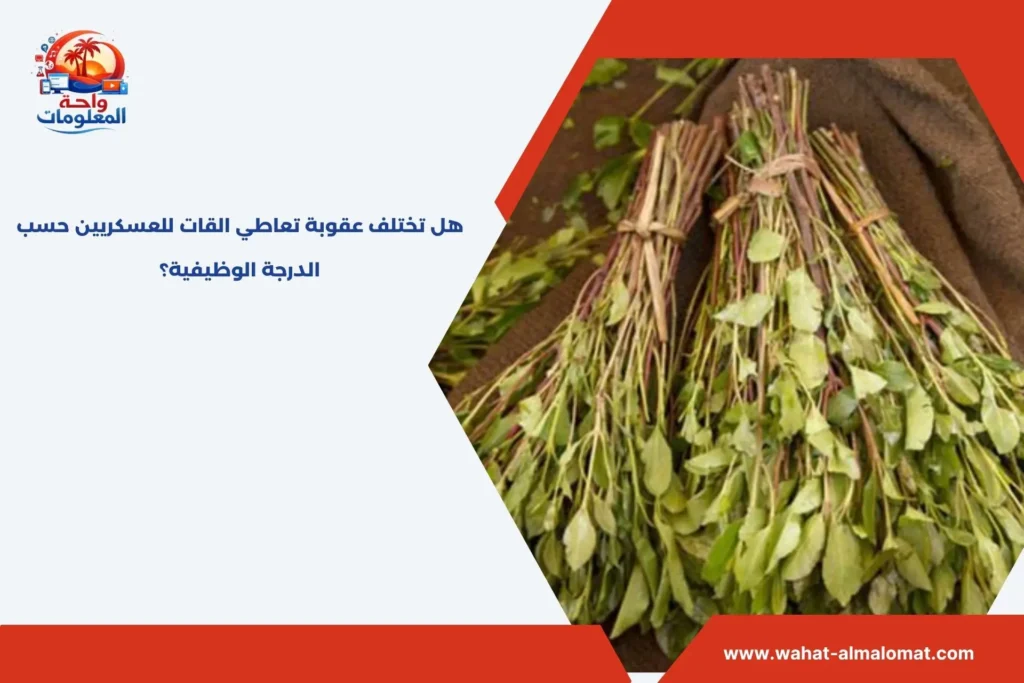 هل تختلف عقوبة تعاطي القات للعسكريين حسب الدرجة الوظيفية؟ عقوبة تعاطي القات للعسكريين